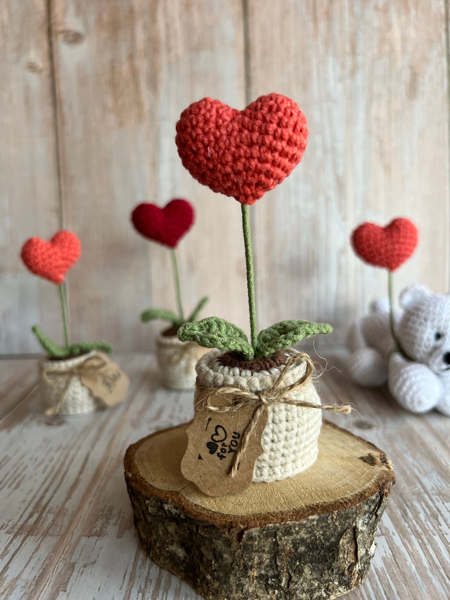 Handmade Crochet Heart in a Pot – Perfect Valentine’s Gift, Hand Crafted, Readymade, Unique Gift