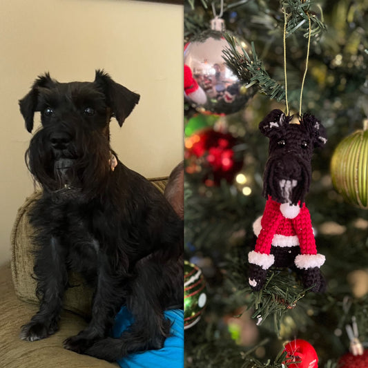 Custom Dog Ornament, Custom Cat Ornament, Custom Pet Ornament