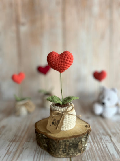 Handmade Crochet Heart in a Pot – Perfect Valentine’s Gift, Hand Crafted, Readymade, Unique Gift