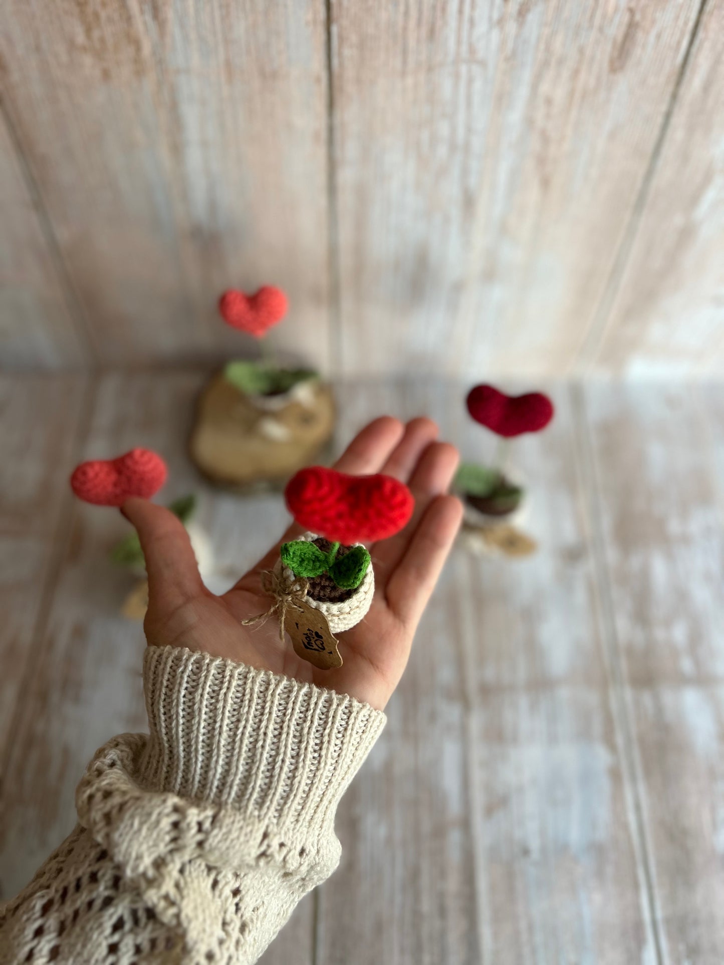 Handmade Crochet Heart in a Pot – Perfect Valentine’s Gift, Hand Crafted, Readymade, Unique Gift