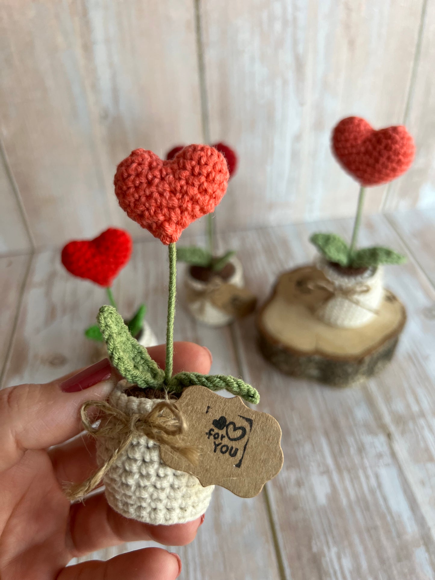 Handmade Crochet Heart in a Pot – Perfect Valentine’s Gift, Hand Crafted, Readymade, Unique Gift