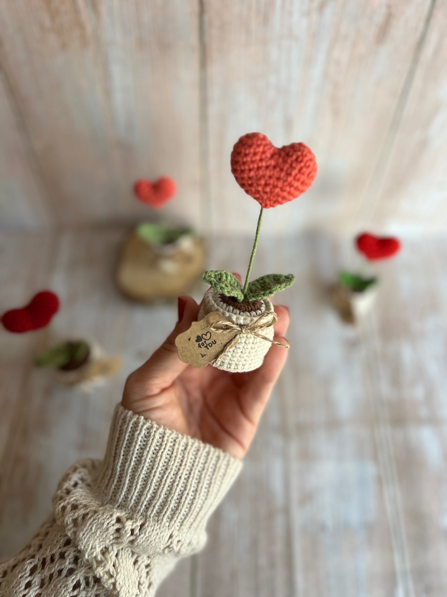 Handmade Crochet Heart in a Pot – Perfect Valentine’s Gift, Hand Crafted, Readymade, Unique Gift