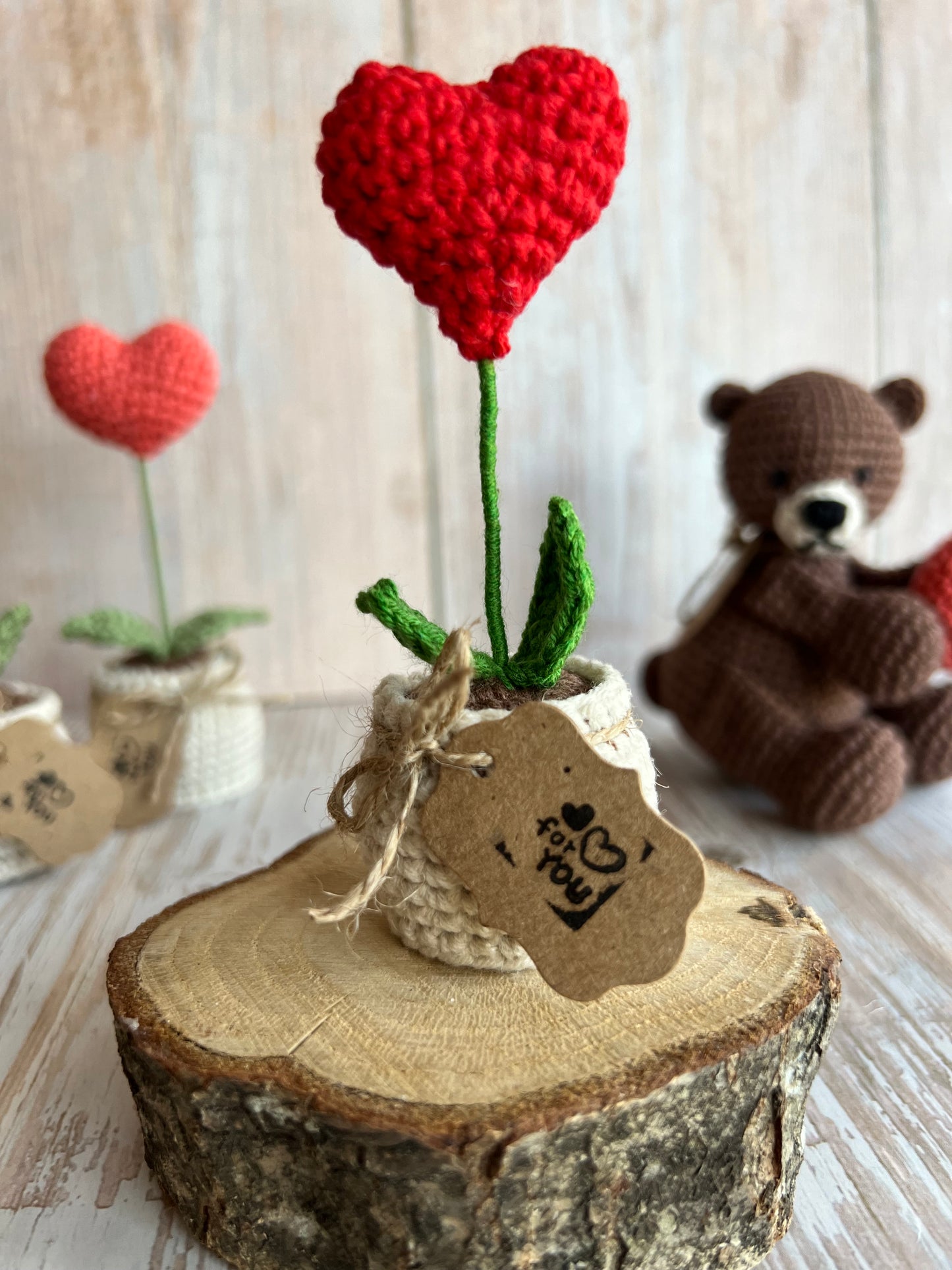 Handmade Crochet Heart in a Pot – Perfect Valentine’s Gift, Hand Crafted, Readymade, Unique Gift